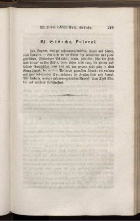 B) Störche. Pelargi.