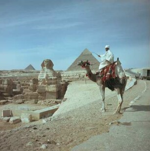 Mann auf einem Kamel vor Sphinx und den Pyramiden von Gizeh