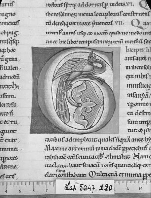 Flavius Iosephus: Antiquitatum Iudaïcarum ; De bello Iudaïco libri septem / Flavii Josephi antiquitatum Judaïcarum libri viginti : ad calcem subjicitur sancti Hieronymi de Josepho testimonium. — Initial G mit Pfau, Folio fol. 120