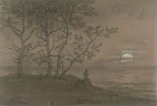 Baumgruppe am Meer