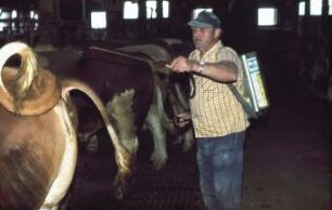 Fotografie: Anbindestall, Gitterrost, Pflegegerät, Tiergesundheit