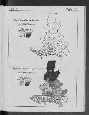 Fig.1 Sterbefälle der Säuglinge auf 10000 Einwohner Fig.2. Sterbefälle an Lungentuberkulose auf 10000 Einwohner.