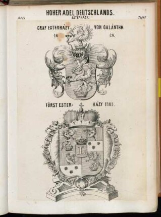Taf. 45. Esterhazy. Graf Esterhazy von Galantha 1626. - Fürst Esterhazy 1783.