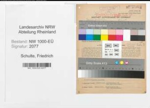 Entnazifizierung Friedrich Schulte, geb. 07.07.1893 (Vertreter)
