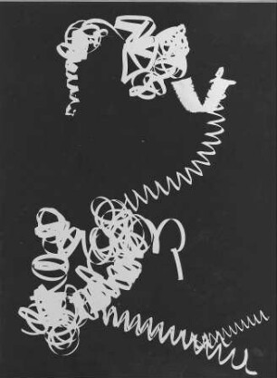 Fotogramm. 46,6 x 35,4 cm (Blattgröße), 23 x 17,3 cm (Bildgröße). 1962