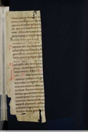 Fragment