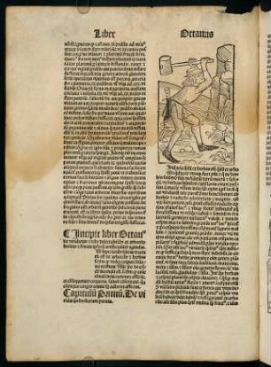 CVIIIv-CXIv, Incipit liber Octauus de viridariis et rebus delectabilibus ex arboribus herbis et fructu ipsorum artificialiter agendis