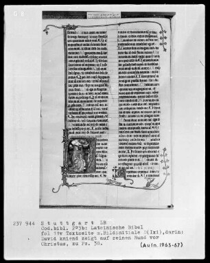 Lateinische Bibel, drei Bände — Initiale D (ixi), darin David vor Christus, Folio 11verso