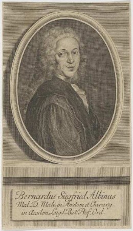 Bildnis des Bernardus Siegfried Albinus