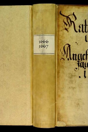 Ratsprotokolle, 1666 Juli 31. - 1667 Juli 23.