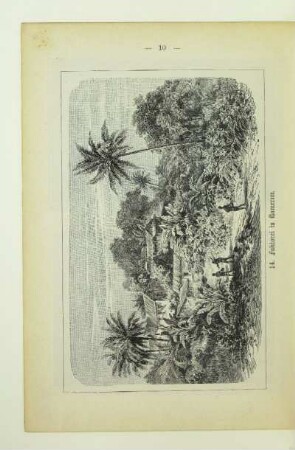 14. Faktorei in Kamerun