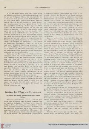 4: Laubhölzer mit streng pyramidenförmigem Wuchs, [2]