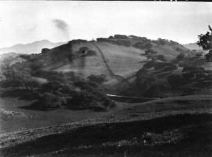 Live Oak Park an den Coast Ranges : Parklandschaft des Live Oak Parks in Kalifornien