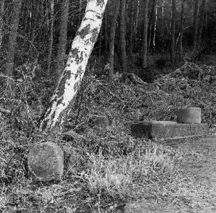 Reste des Galgens und Grenzsteine; Reichelsheim, Am Galgen