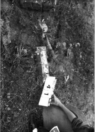 Grabstein 41 (Index: 100095018) Zustand: Fragment: Grabstein 41