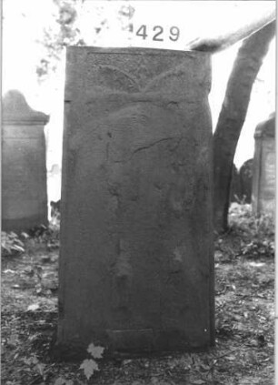 Grabstein 429