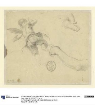 Studienblatt: fliegender Putto von unten gesehen, Beine eines Putto, Arm