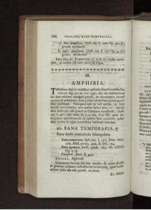III. AMPHIBIA.
