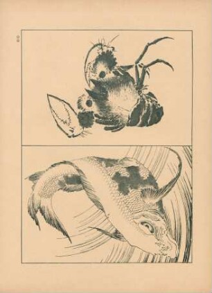BID. Fisch und Krebs
