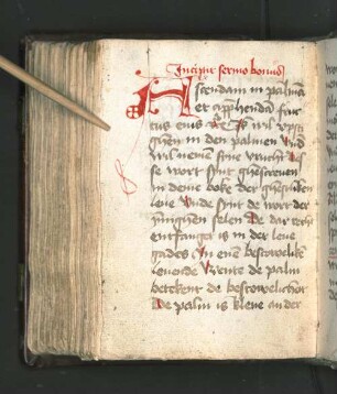 Incipit sermo bonus: Ascendam in palma et apphenda fructus eius [...]