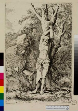 St. Albert der Eremit / Hl. Albert, Begleiter des Hl. Wilhelm d. Eremiten