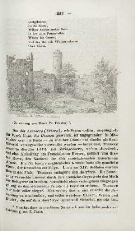 Burgruine Auerbach