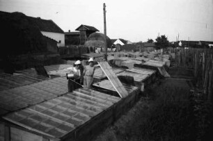 Aradul Nou: Frühbeet, Glasgedeckt