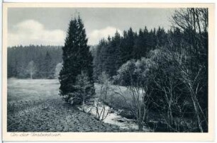 Grabentour. nach Krummenhennersdorf