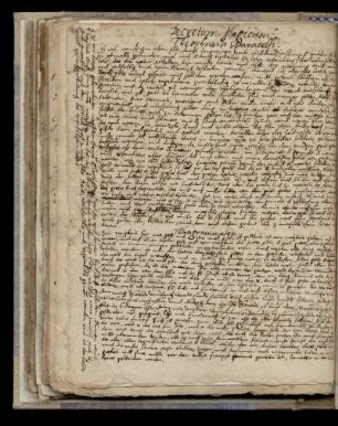 Ps.-Parcelsus: Decretum magicum Theophrasti Paracelsi