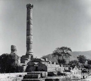 Paestum. Blick auf die Reste der antiken Stadt