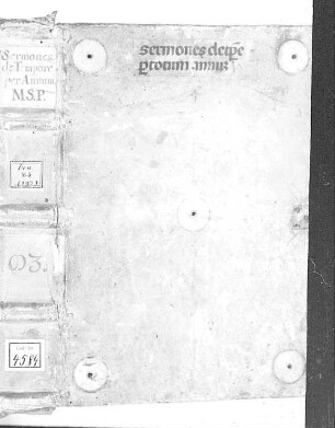 Sermones - BSB Clm 4584