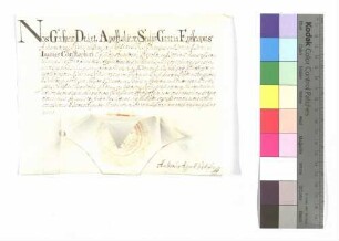 Urkunde über die Aufschwörung des Ellwanger Kapitularen Ignaz Desiderius von Peutingen.