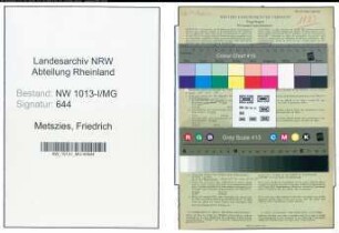 Entnazifizierung Friedrich Metszies , geb. 15.05.1889 (Autoschlosser)