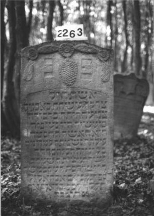 Grabstein 2263