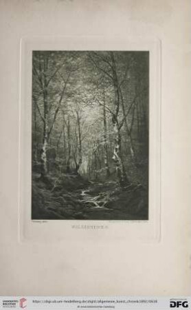 Waldinneres