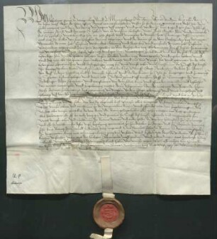 1486 Jan. 17 (St. Antonius) (Sannt Anthonien Tag): Graf Eberhard d.Ä. schenkt der Universität Tübingen seine Rechte an den der Universität inkorporierten Pfarrkirchen zu Brackenheim, Stetten am Heuchelberg, Asch, Ringingen, Owingen (Eningen) und den acht von Sindelfingen nach Tübingen transferierten Chorherrenpfründen.