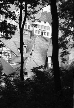 Oppenau: Durchblick durch Wald auf alte Häuser