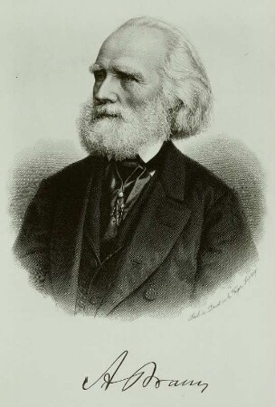Braun, Alexander Heinrich