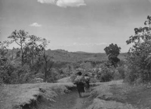 Hügel von Banco (Äthiopienreise 1937-1938)