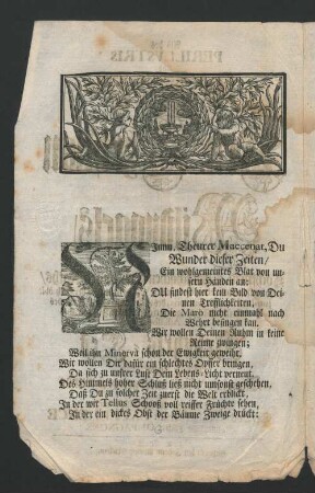 [Als des Perillvstris Und Hoch-Wohlgebohrnen Herrn Hrn. Christian Wildvogels, ...]