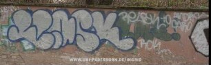 ReaSK