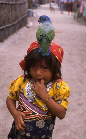 Kleines Indianermädchen in Panama : Ein Kuna-Indianermädchen mit Papagei in Panama, 1989