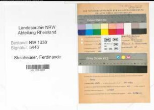 Entnazifizierung Ferdinande Steinheuser , geb. 01.12.1916 ()