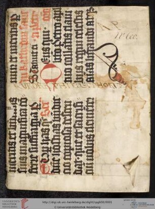 Fragment: Missale (Sacramentar?)