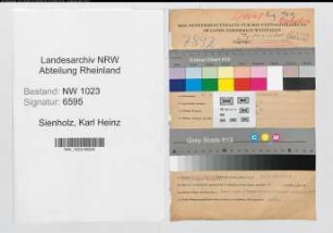 Entnazifizierung Karl Heinz Sienholz , geb. 28.04.1913 (Stadtinspektor)