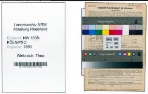 Entnazifizierung Thea Wiebusch , geb. 22.09.1903 (Sekretaerin)