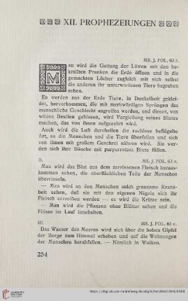 XII. Prophezeiungen