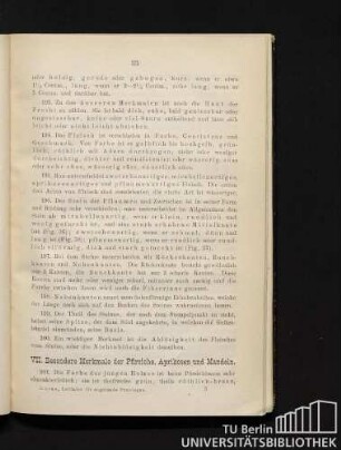 VII. Besondere Merkmale der Pfirsiche, Aprikosen und Mandeln.