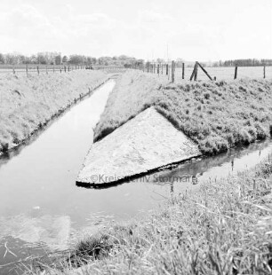 Beste: Flussregulierung: Zusammenfluss vorn der Norderbeste und in der Mitte rechts der Süderbeste: rechts und links Wiesen und Zäune: hinten Bauerngehöfte zwischen Bäumen