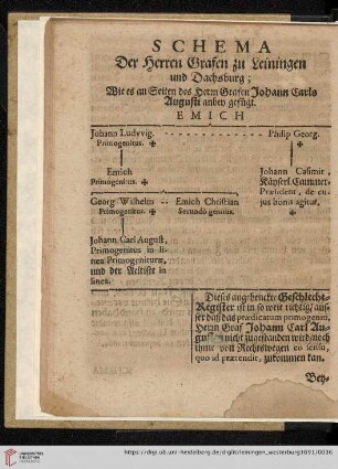 Schema der Herren Grafen zu Leiningen und Dachsburg